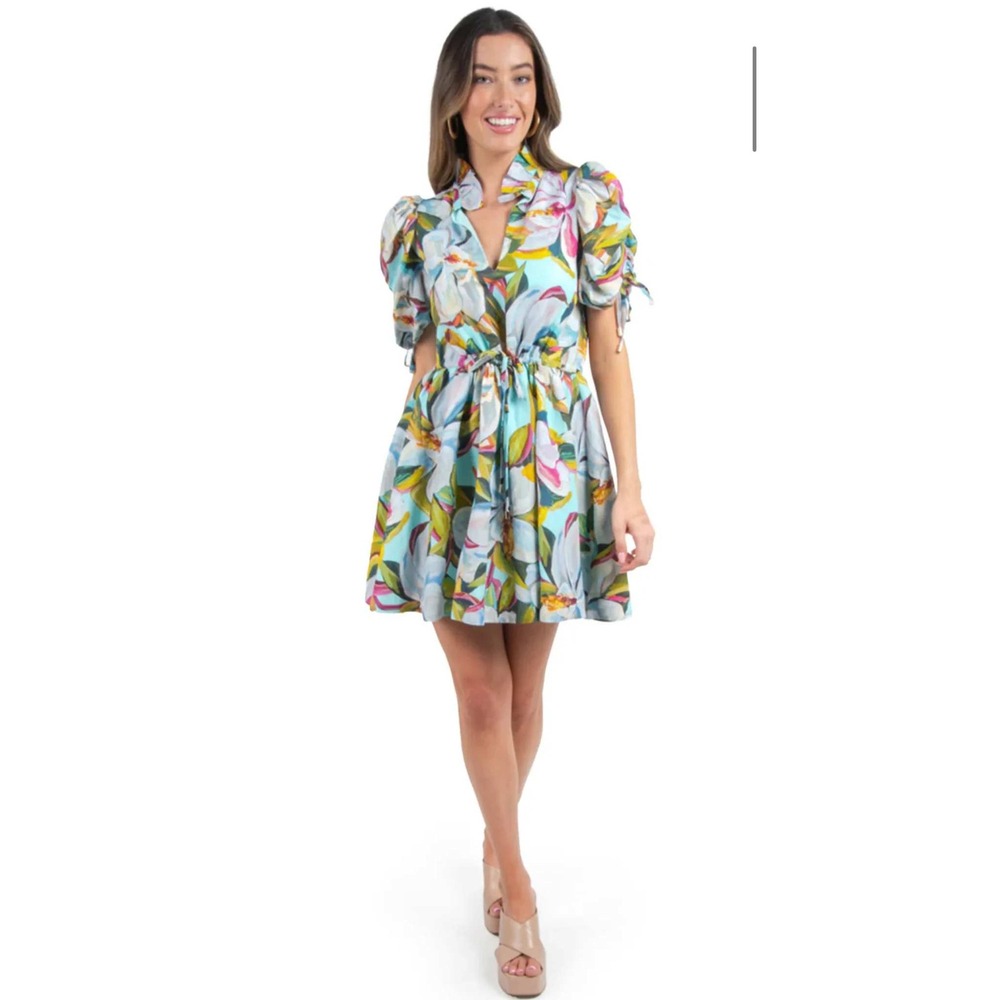 NWOT Emily McCarthy Magnolia Posey Floral Mini Dress Puff Sleeve V-Neck S